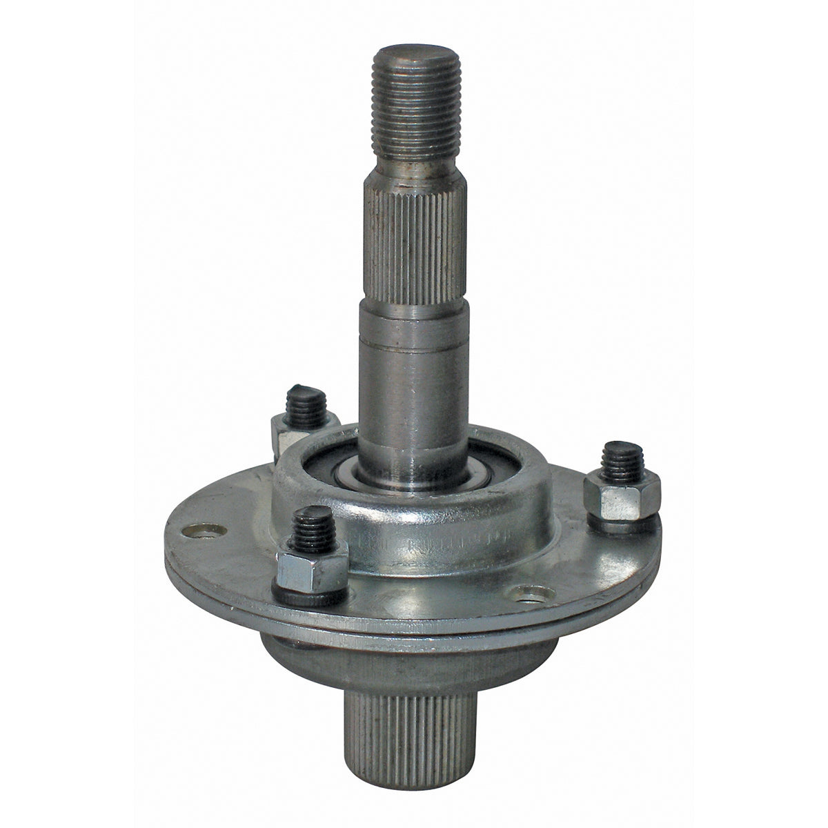 B1SB7156 - featured image
