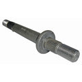 B1SB7282 - featured image