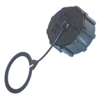 B1SB7408 - featured image