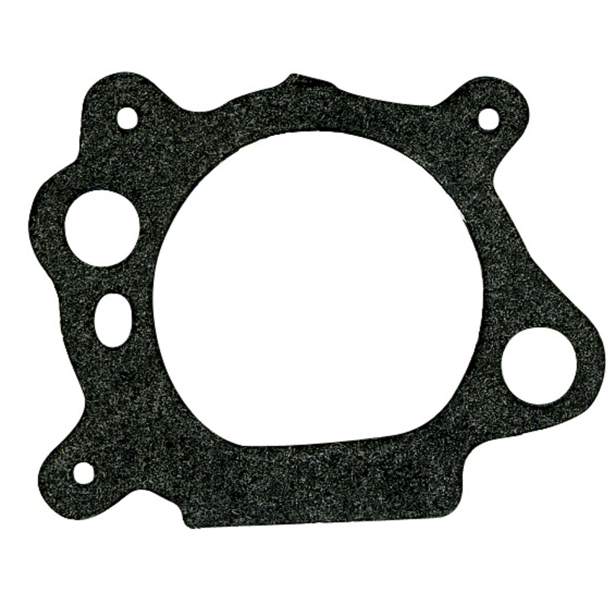 B1SB8746 - featured image