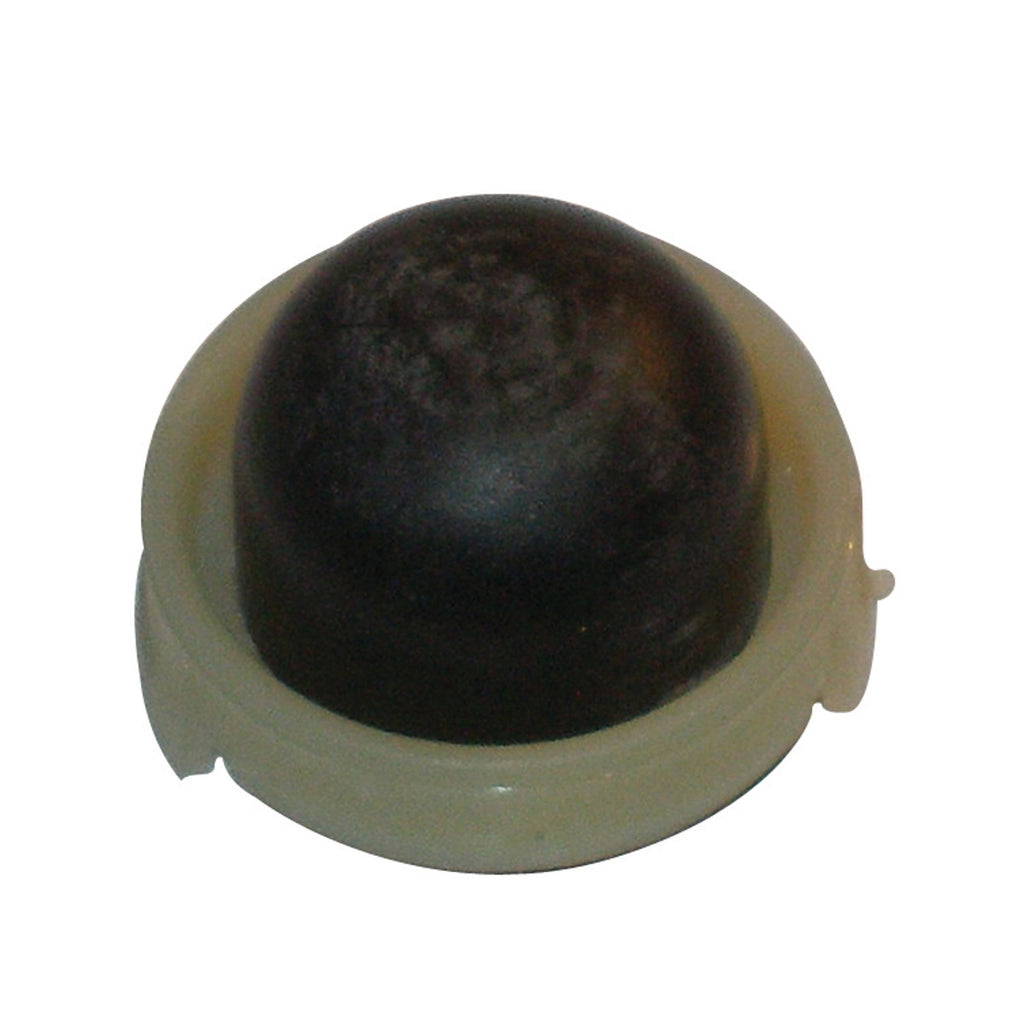 B1SB8958 - featured image