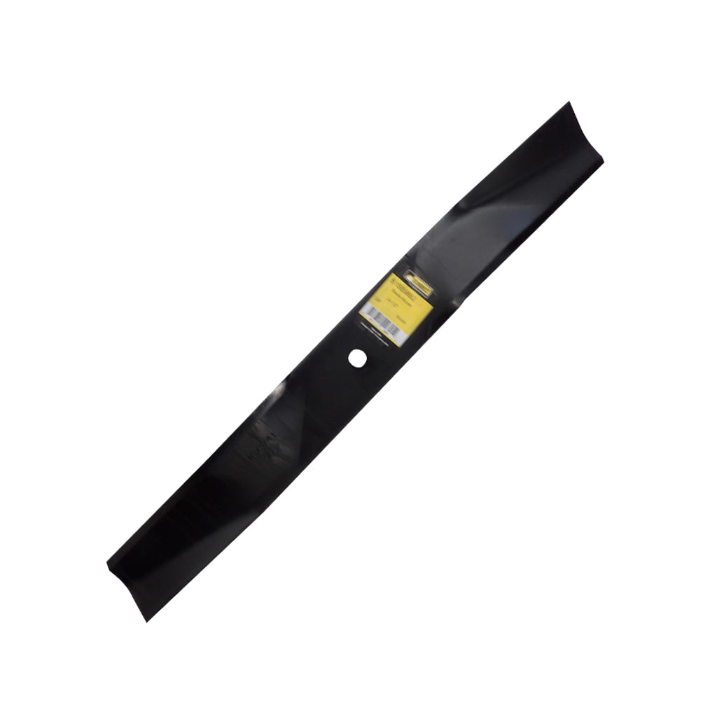 B1SB9882 - featured image