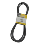 B1SC157 - featured image