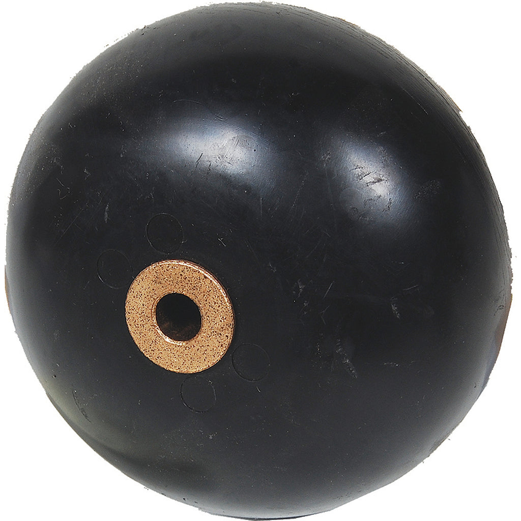 B1SC95 - featured image