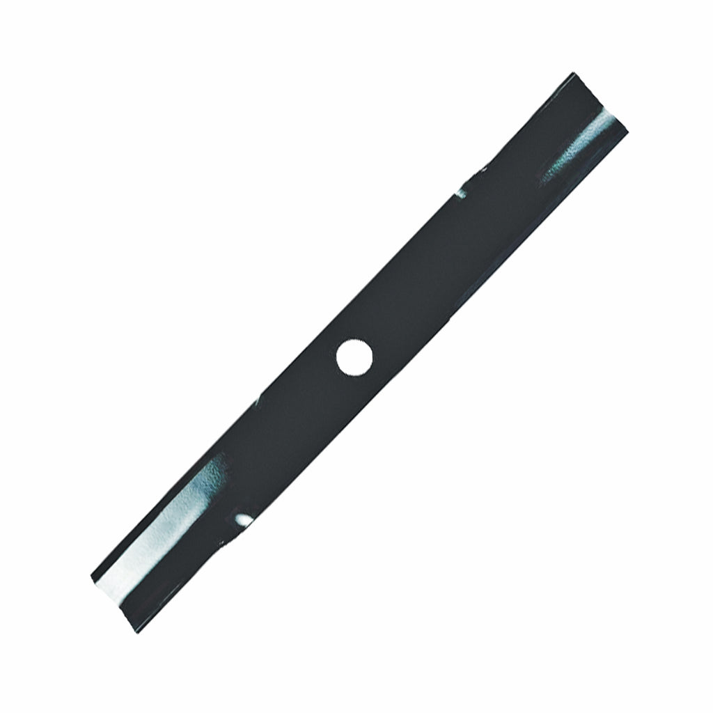 B1SN3019 - featured image