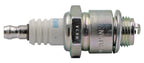 BR2LM - image 1