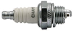 RCJ7Y - featured image